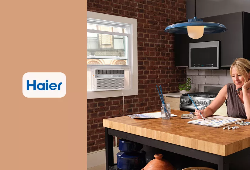 Haier Window AC Noise Level Image